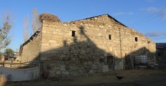 Sivas